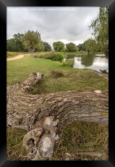 Walk and cycle path with natural log seat Framed Print by Kevin White