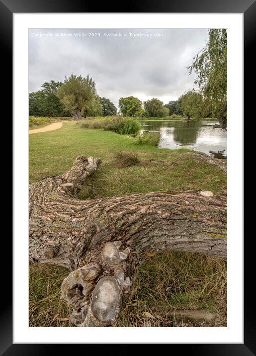 Walk and cycle path with natural log seat Framed Mounted Print by Kevin White