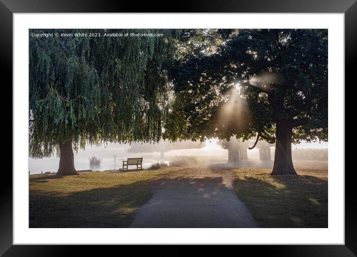 Misty light with the sun shining through the trees Framed Mounted Print by Kevin White