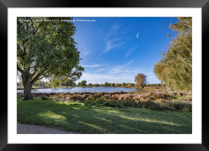 Bushy Park half moon in sky on a bright November morning Framed Mounted Print by Kevin White