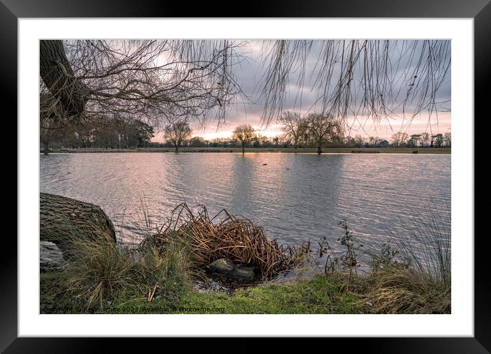 Mid winter dawn over a Surrey pond Framed Mounted Print by Kevin White