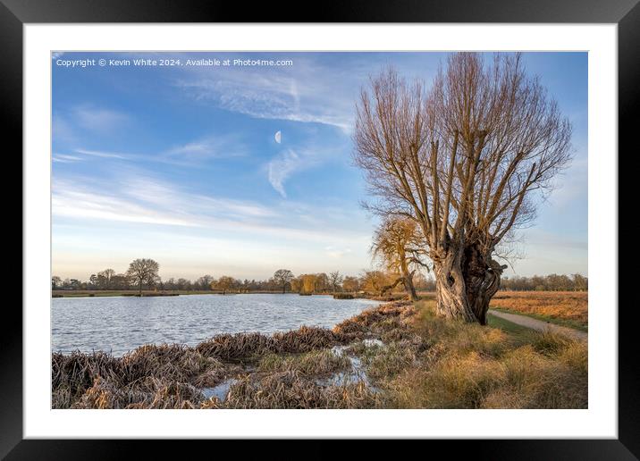 Half moon early January morning at Bushy Park Framed Mounted Print by Kevin White