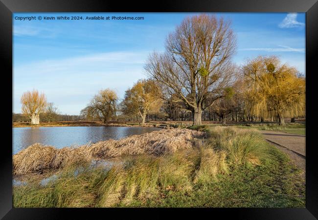 Surrey winter colors  Framed Print by Kevin White