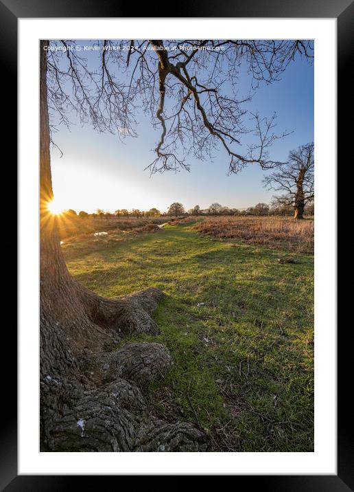 Sunrise at Bushy Park Framed Mounted Print by Kevin White