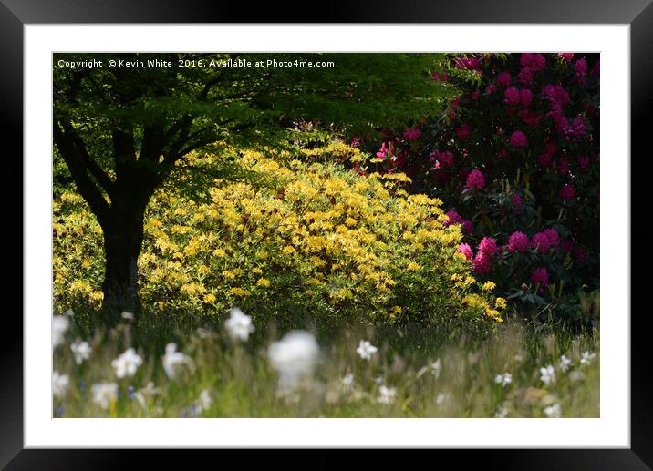 Spring in full colour Framed Mounted Print by Kevin White