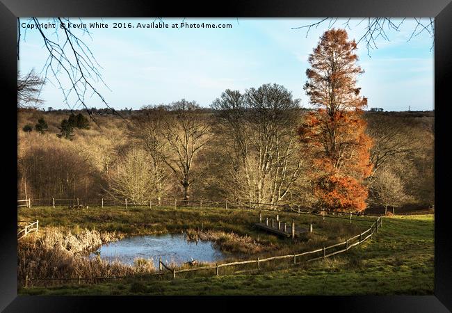 Gardens of southern England Framed Print by Kevin White
