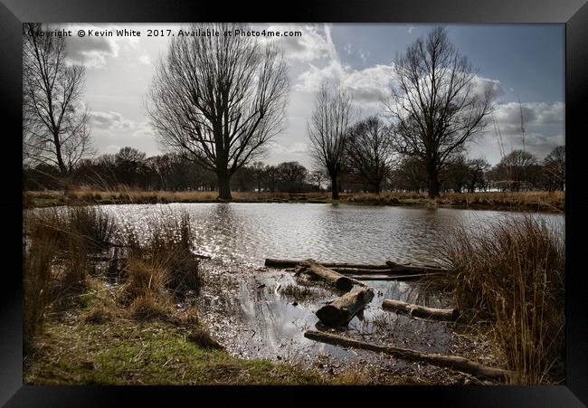 Small lake Richmond Park Framed Print by Kevin White