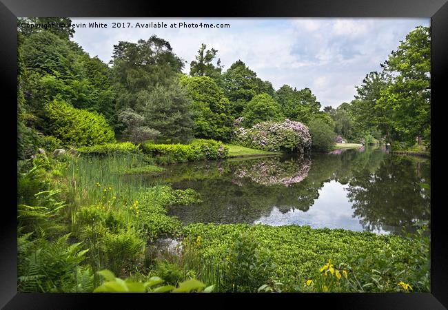 Natures Beauty Framed Print by Kevin White