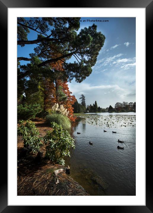 Sheffield Park Framed Mounted Print by Kevin White