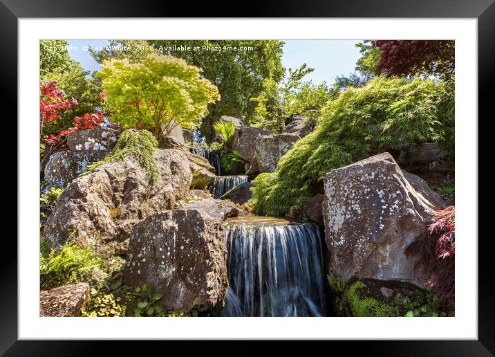 English garden waterfall Framed Mounted Print by Kevin White