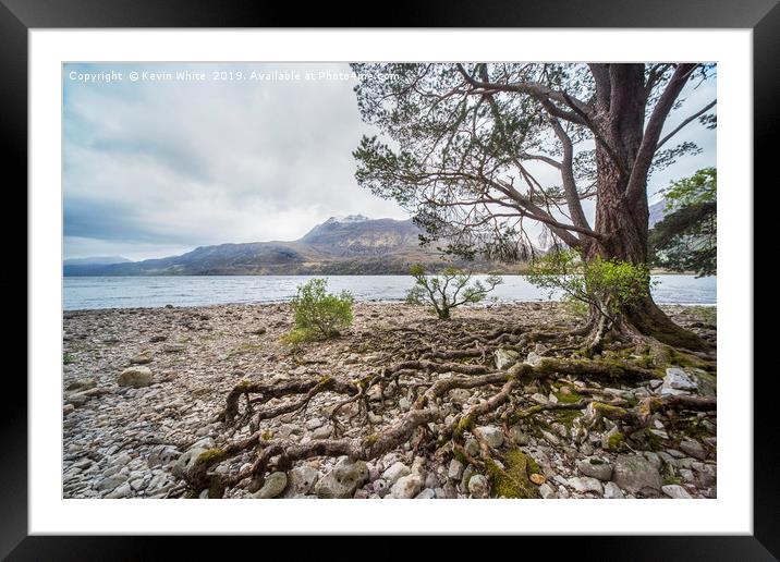 natures natural artist Framed Mounted Print by Kevin White