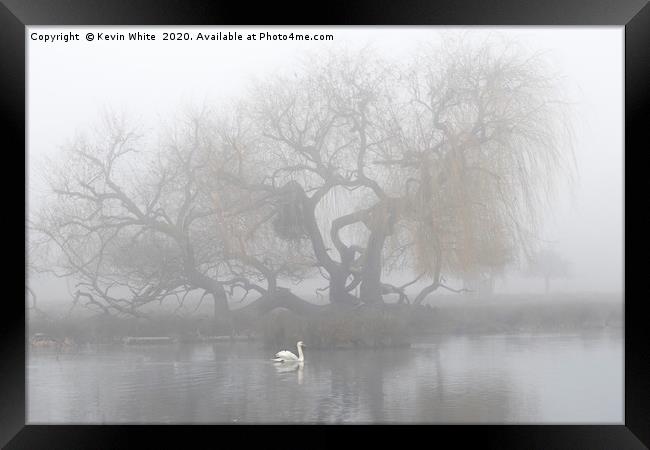 morning mist Framed Print by Kevin White