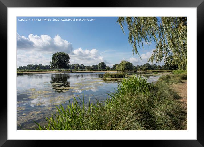 Summer scene at Bushy Park Framed Mounted Print by Kevin White