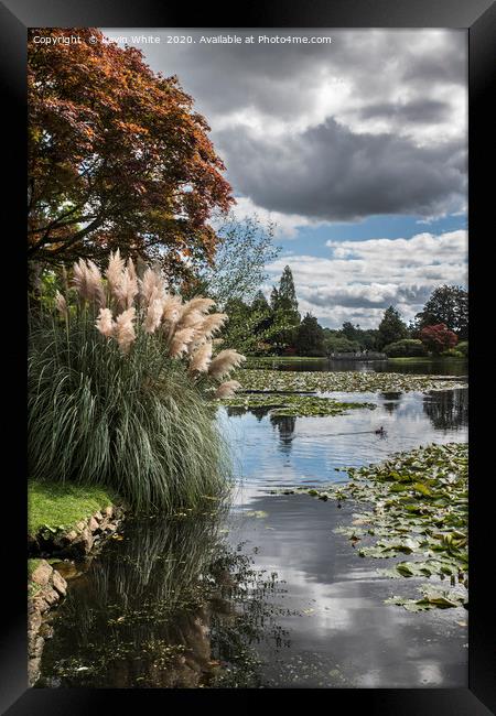late summer colour by the water Framed Print by Kevin White