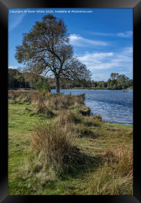 Pen Ponds in Richmond Park Framed Print by Kevin White