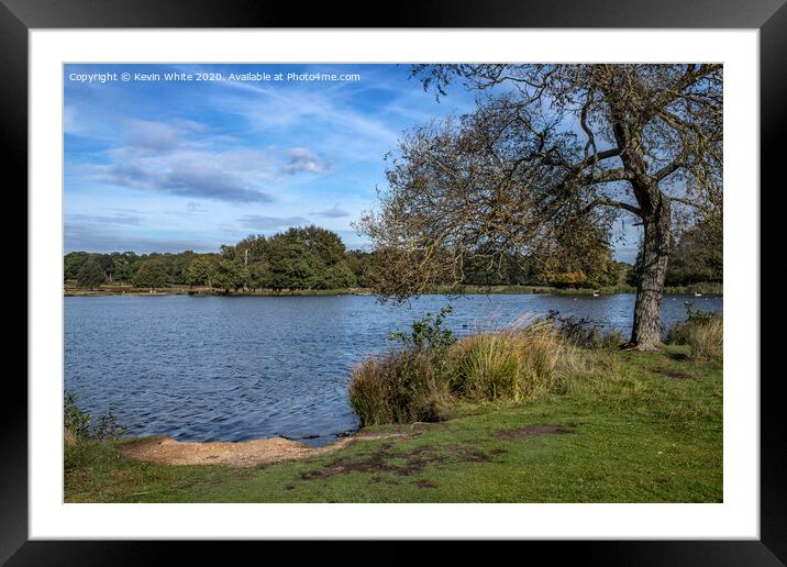 Pen Ponds Richmond Park Framed Mounted Print by Kevin White