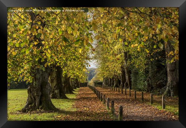Polesden Lacey autumn walk Framed Print by Kevin White