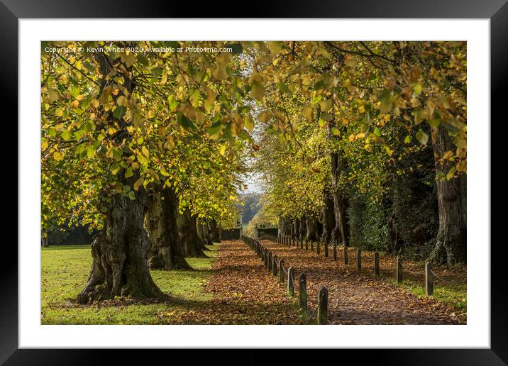 Polesden Lacey autumn walk Framed Mounted Print by Kevin White