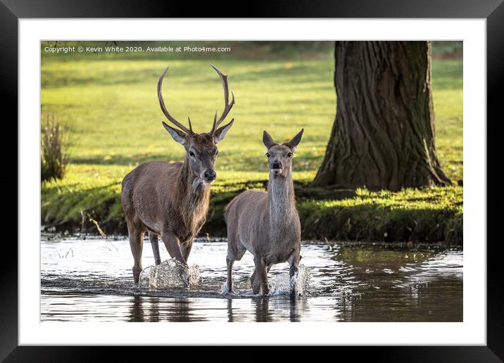Shortcut through the water Framed Mounted Print by Kevin White