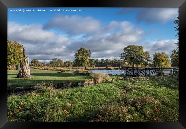 Bushy Park easy walk Framed Print by Kevin White