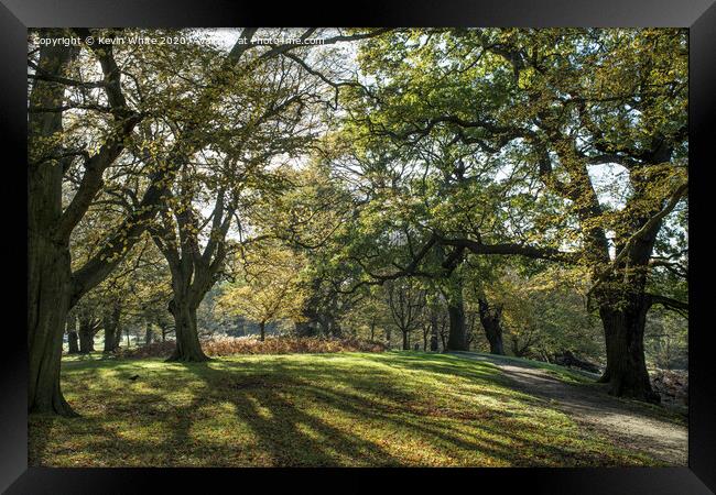 Quiet walk in Richmond Park Framed Print by Kevin White