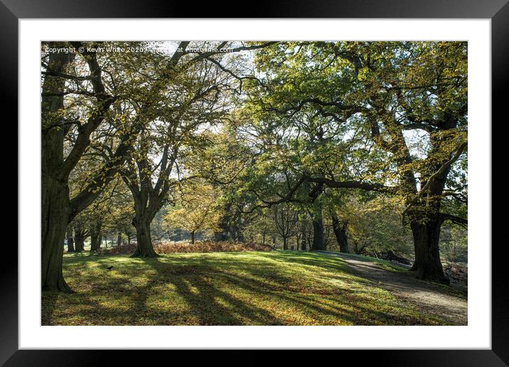 Quiet walk in Richmond Park Framed Mounted Print by Kevin White