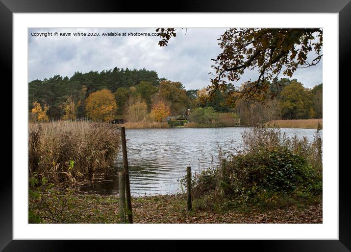 Looking across Frensham little pond Framed Mounted Print by Kevin White