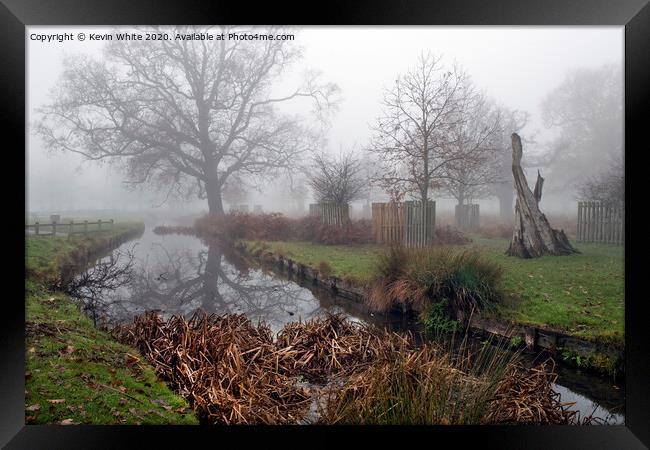 December mist at Bushy Park Framed Print by Kevin White