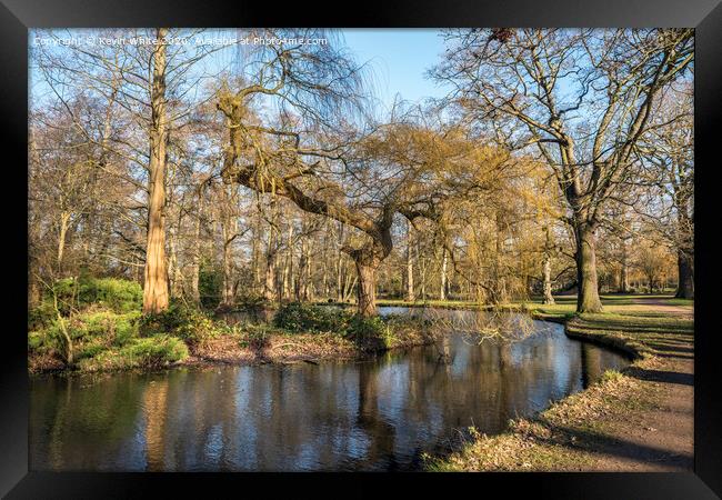 Winter sunshine Bushy Park Framed Print by Kevin White