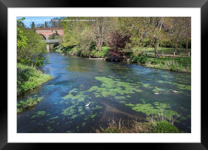 Leatherhead river walk Framed Mounted Print by Kevin White
