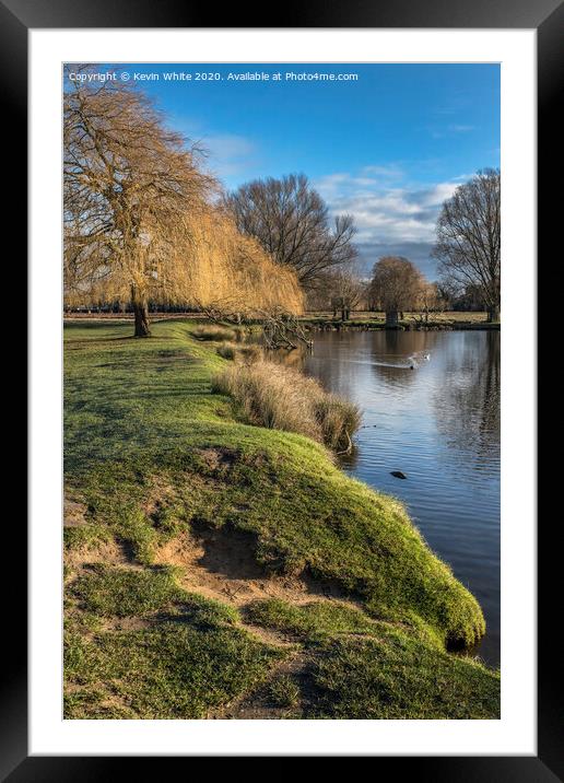 Bushy Park Christmas morning Framed Mounted Print by Kevin White