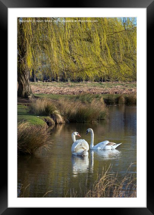 You looking at me Framed Mounted Print by Kevin White