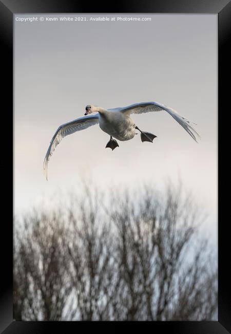 Look I can fly Framed Print by Kevin White