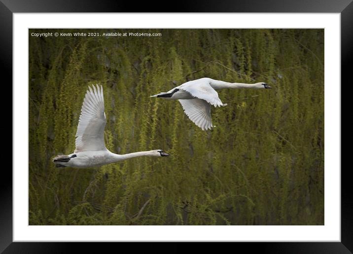 fly past Framed Mounted Print by Kevin White