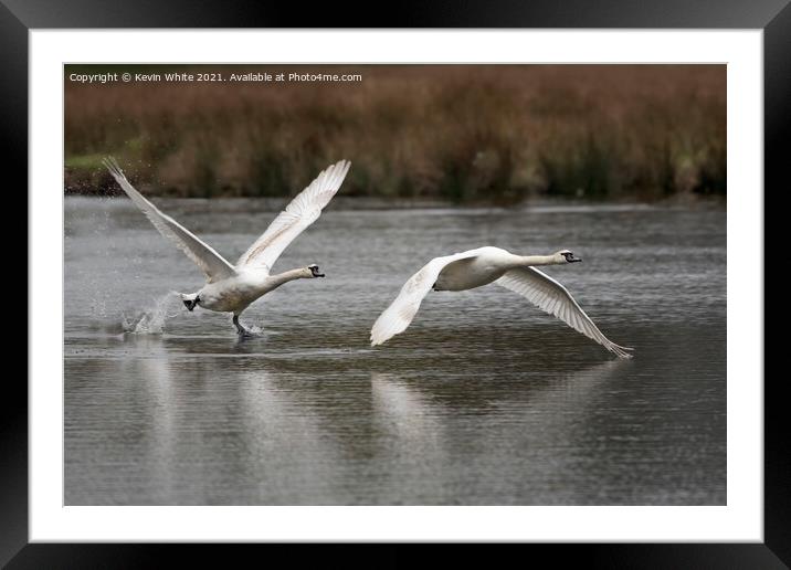 flying and walking on water Framed Mounted Print by Kevin White
