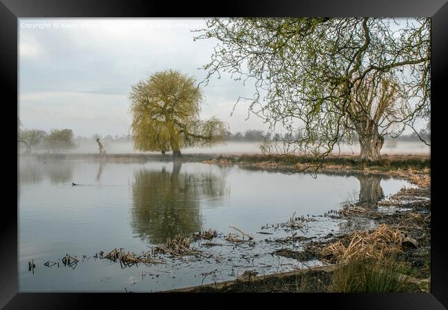 misty pond with old tree Framed Print by Kevin White