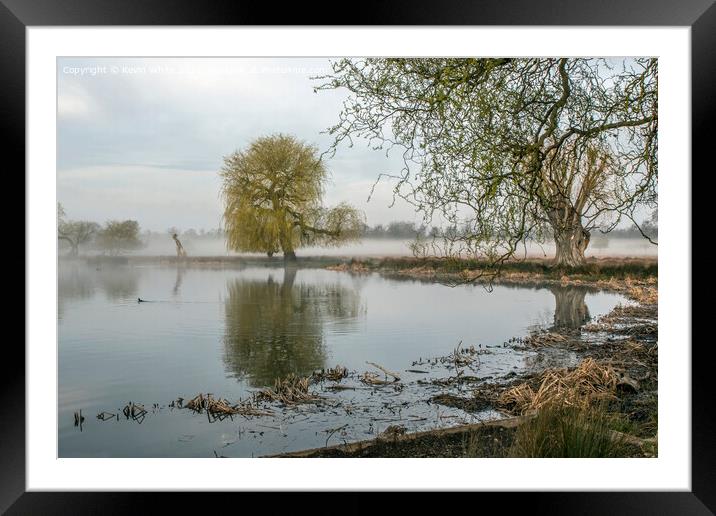 misty pond with old tree Framed Mounted Print by Kevin White