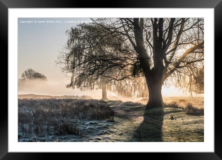 Backlit tree Framed Mounted Print by Kevin White