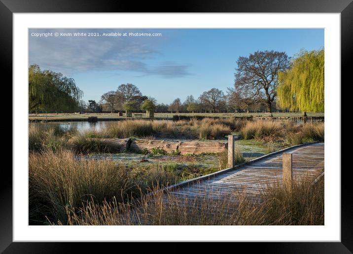 Pleasant walk in Bushy Park Framed Mounted Print by Kevin White