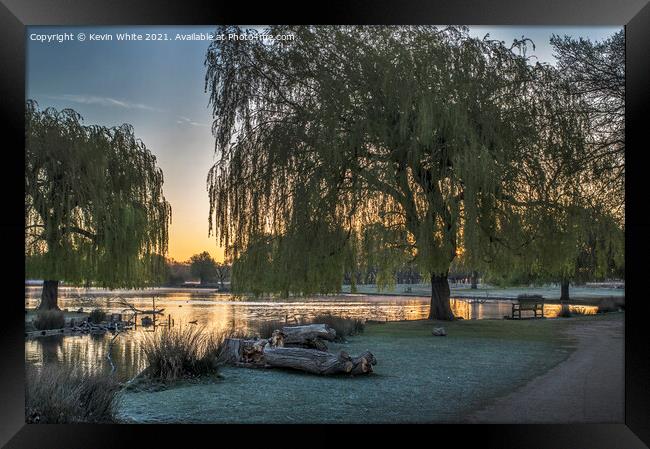 Willow trees over golden lit pond Framed Print by Kevin White