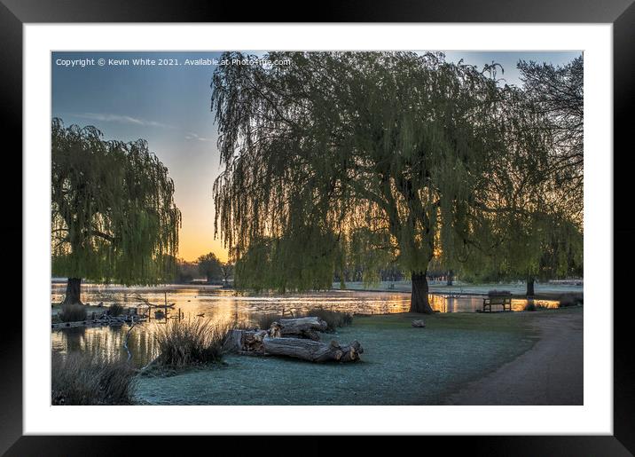Willow trees over golden lit pond Framed Mounted Print by Kevin White