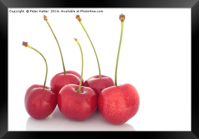 Red cherries Framed Print by Peter Hatter