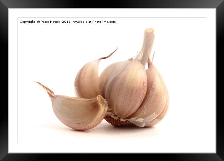 Garlic bulb and cloves. Framed Mounted Print by Peter Hatter
