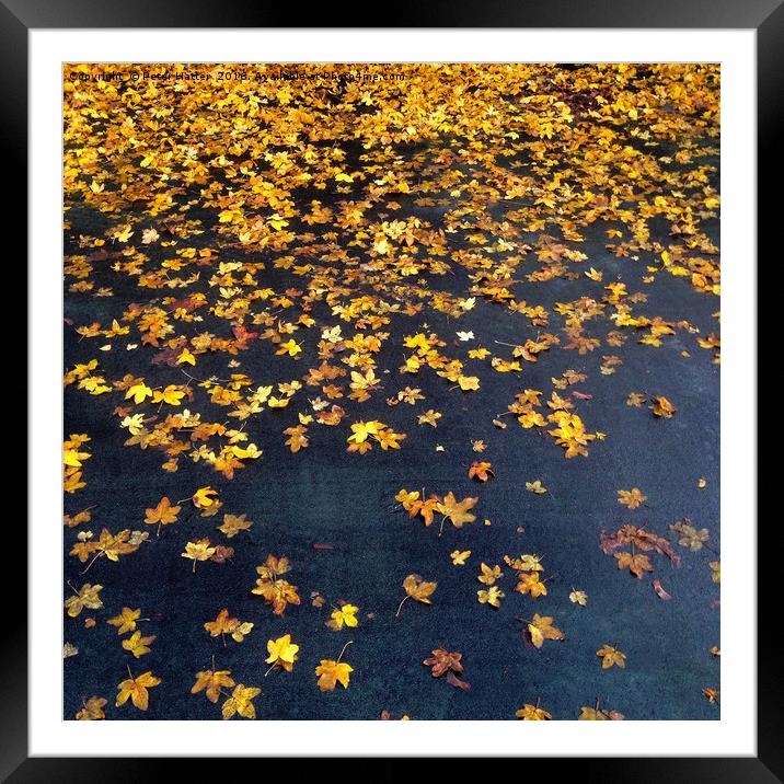Fallen Golden Autumn Leaves Framed Mounted Print by Peter Hatter