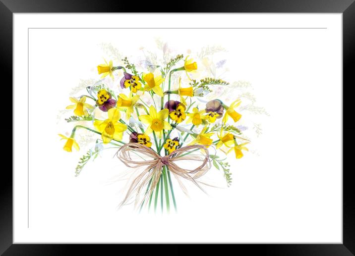 The Spring Bouquet Framed Mounted Print by Jacky Parker