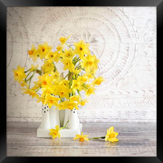 Spring Daffodils Framed Print by Jacky Parker