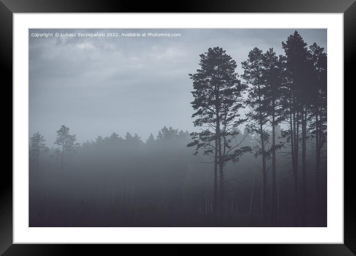 Mystery pine forest Framed Mounted Print by Łukasz Szczepański