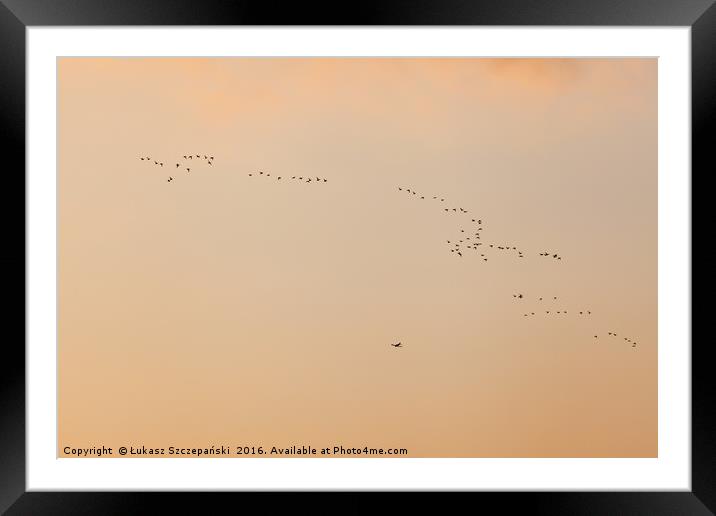 Flock of birds ans plane against orange sky Framed Mounted Print by Łukasz Szczepański