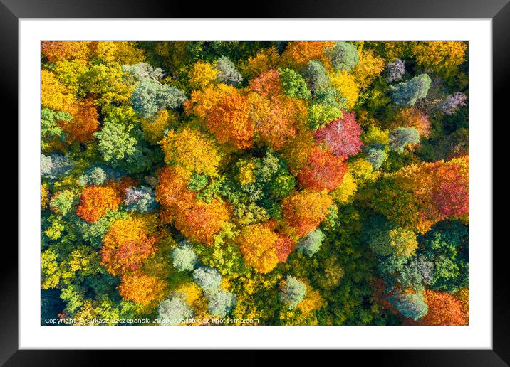 Aerial top down view of vibrant colorful autumn fo Framed Mounted Print by Łukasz Szczepański