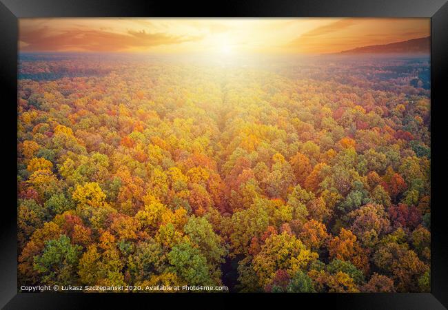 Aerial view of road through colorful autumn forest Framed Print by Łukasz Szczepański